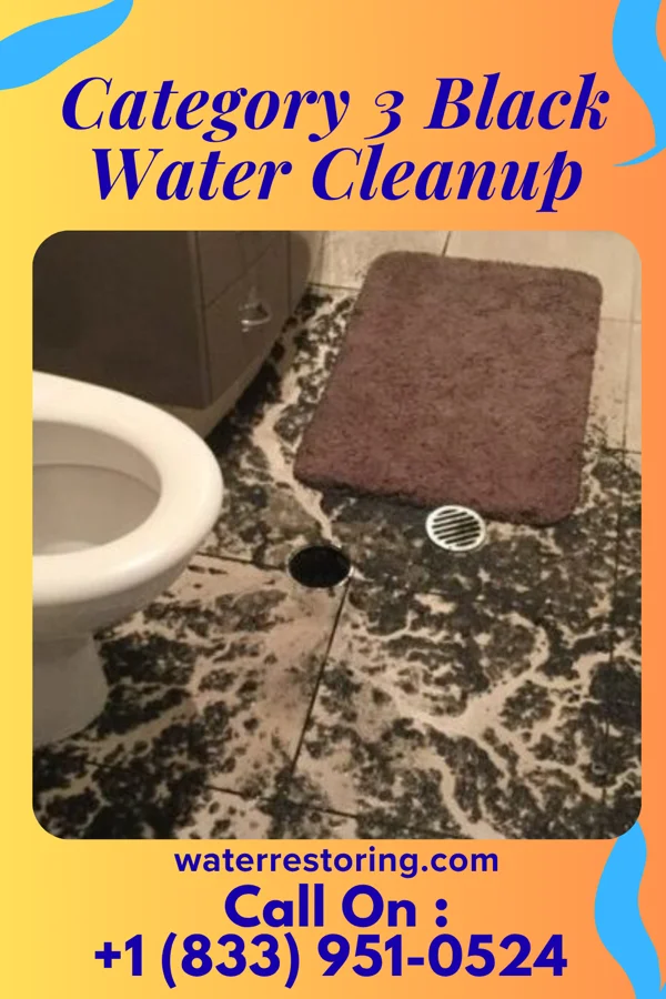 Category 3 Black Water Cleanup in Saunders Lake, OR